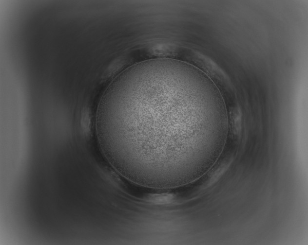 X0000103160266200808291456