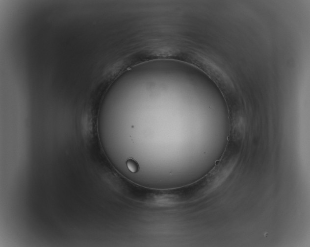 X0000103160268200808291456