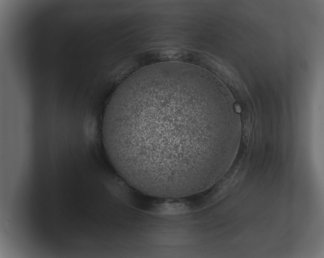 X0000103160270200808291456