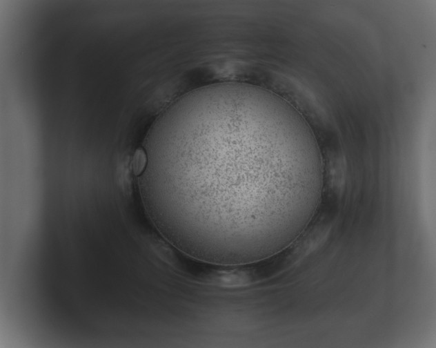 X0000103160275200808291456