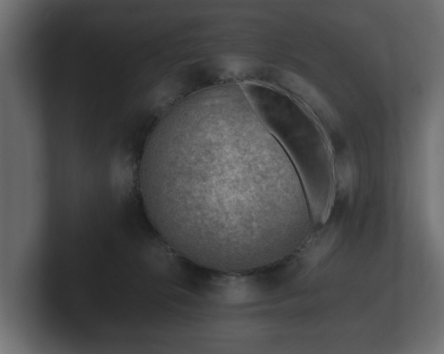 X0000103160276200808291456