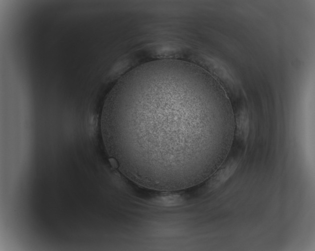 X0000103160278200808291456