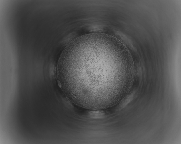 X0000103160281200808291456