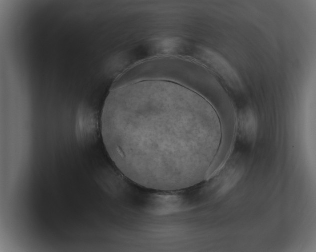 X0000103160284200808291456