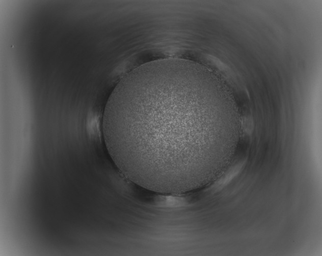 X0000103160286200808291456