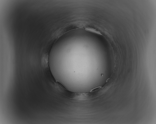 X0000103160288200808291456