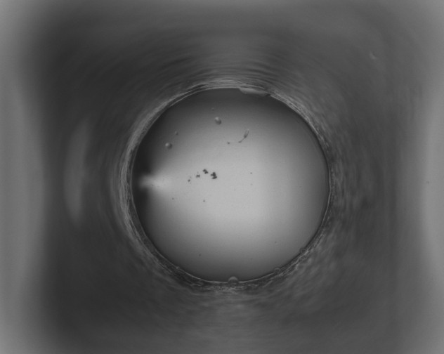 X0000103160289200808291456