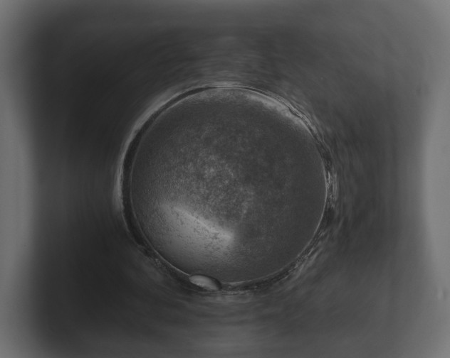 X0000103160292200808291456