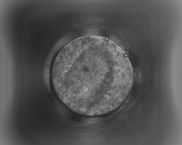 X0000103160293200808291456