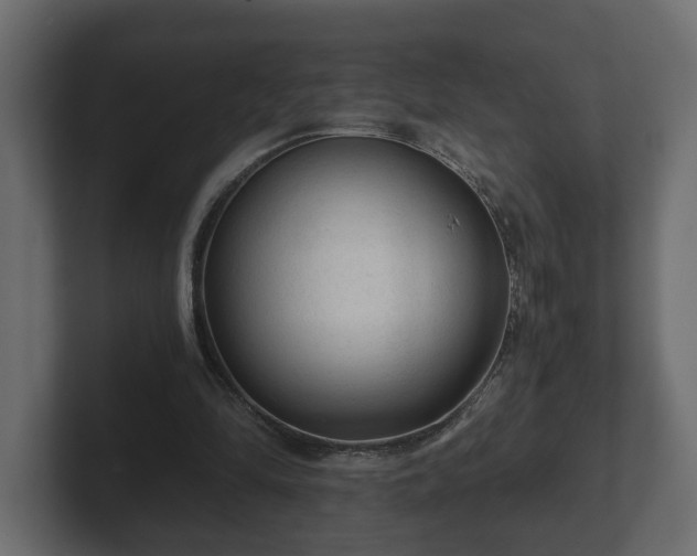 X0000103160294200808291456