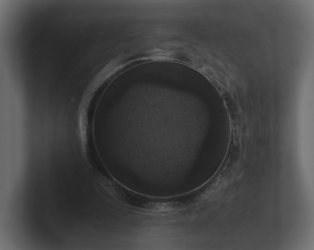 X0000103160295200808291456