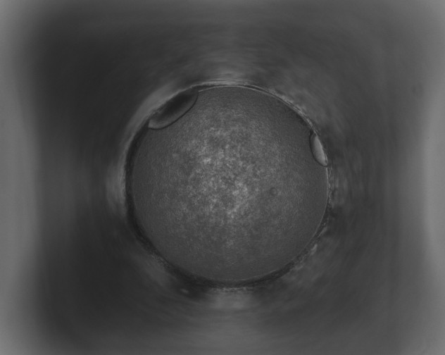 X0000103160296200808291456