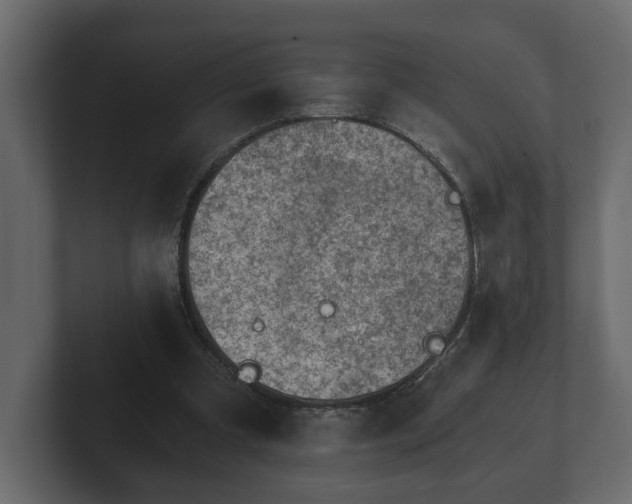 X0000103160297200808291456