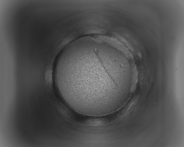 X0000103160299200808291455