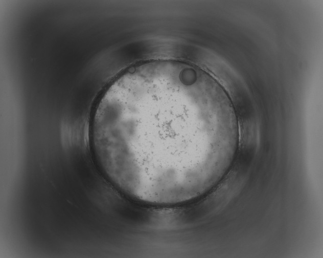 X0000103160301200808291455