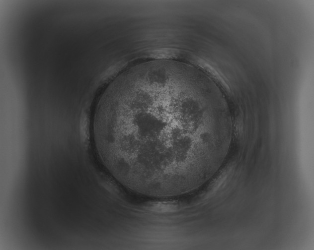 X0000103160303200808291455
