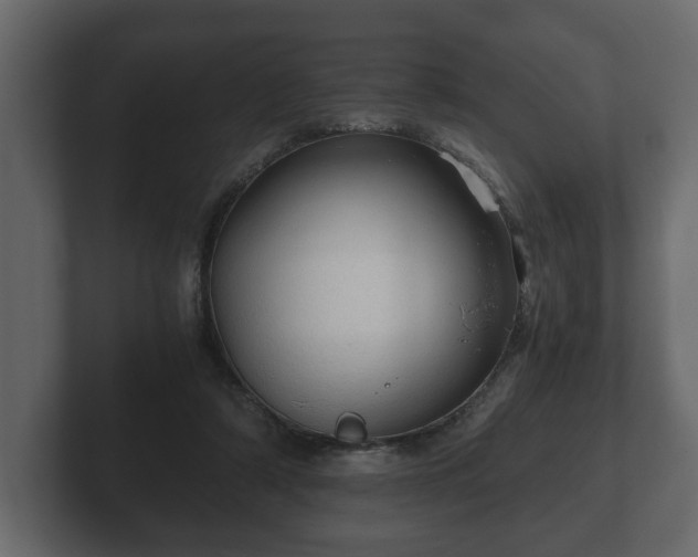 X0000103160306200808291455