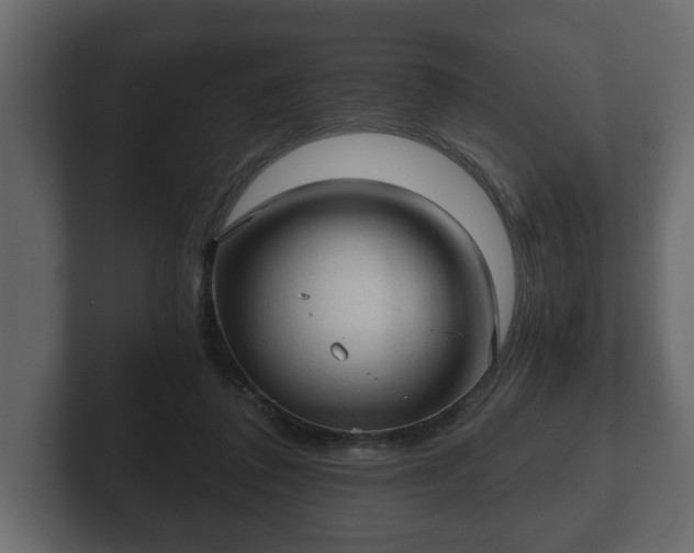 X0000103160308200808291455