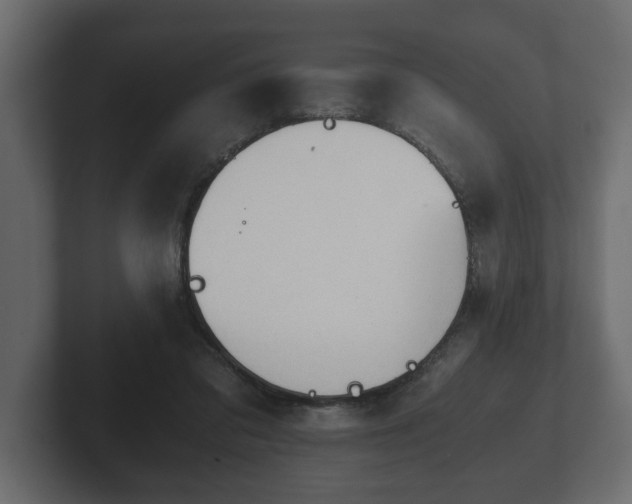 X0000103160309200808291455