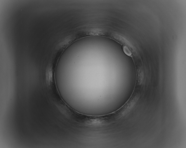 X0000103160310200808291455