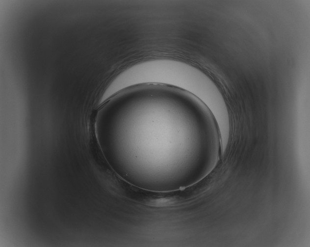 X0000103160312200808291455