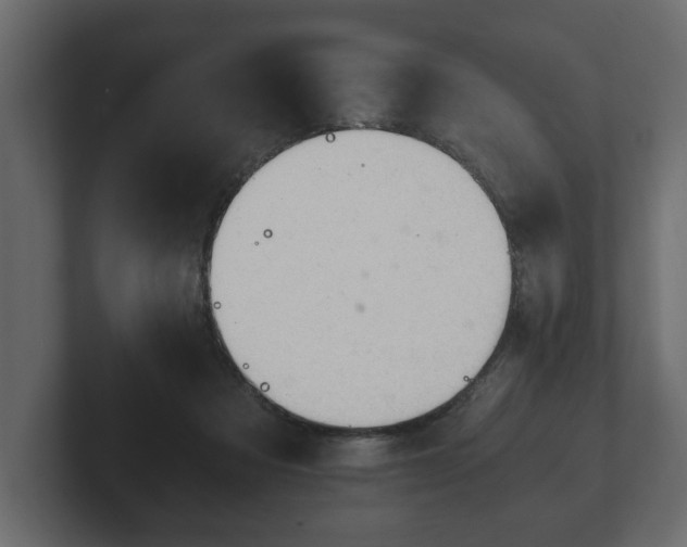 X0000103160313200808291455