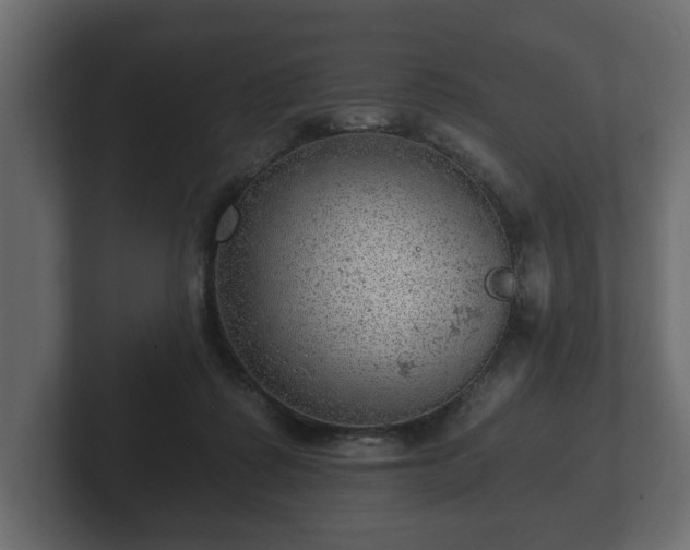 X0000103160315200808291455