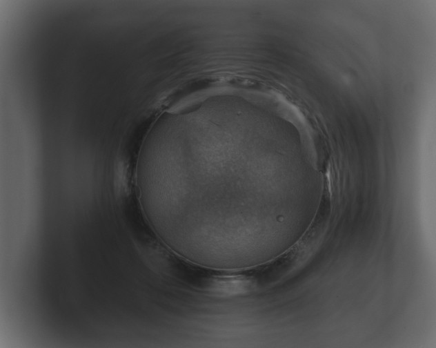 X0000103160316200808291455