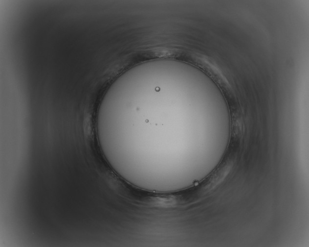X0000103160317200808291455