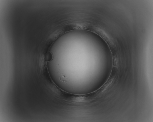 X0000103160318200808291455