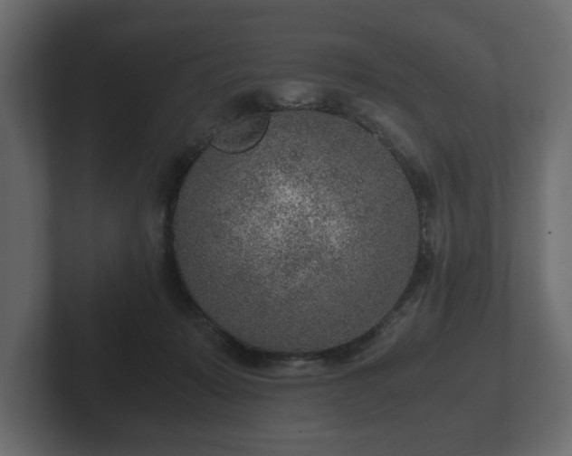 X0000103160319200808291455