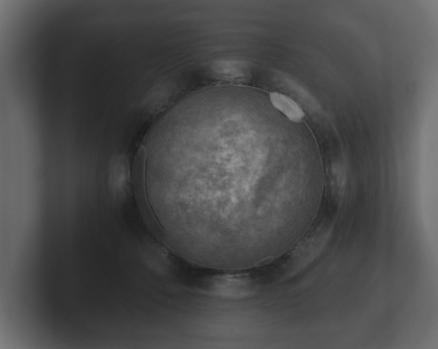 X0000103160320200808291455
