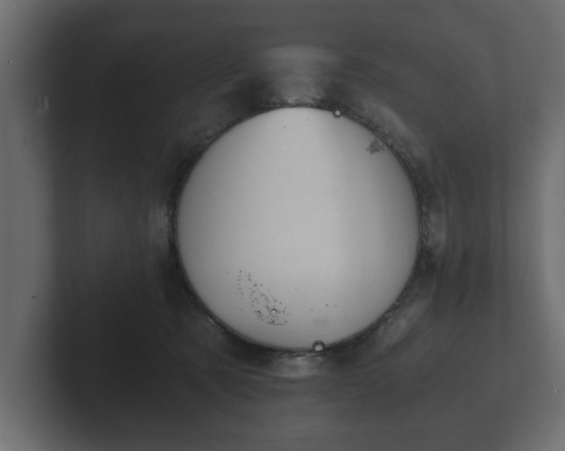 X0000103160321200808291455