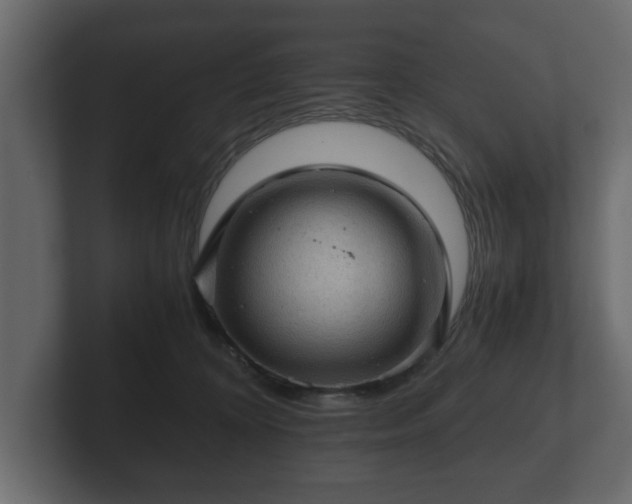 X0000103160324200808291455