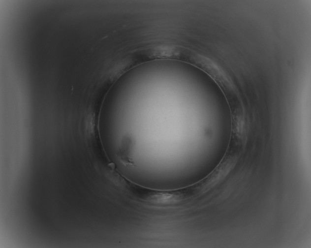 X0000103160326200808291455