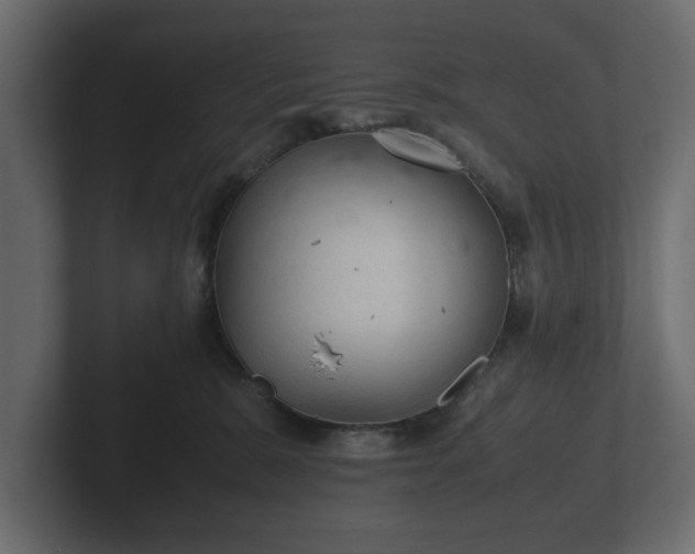 X0000103160327200808291455
