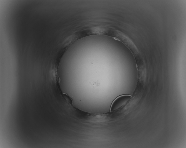 X0000103160329200808291455