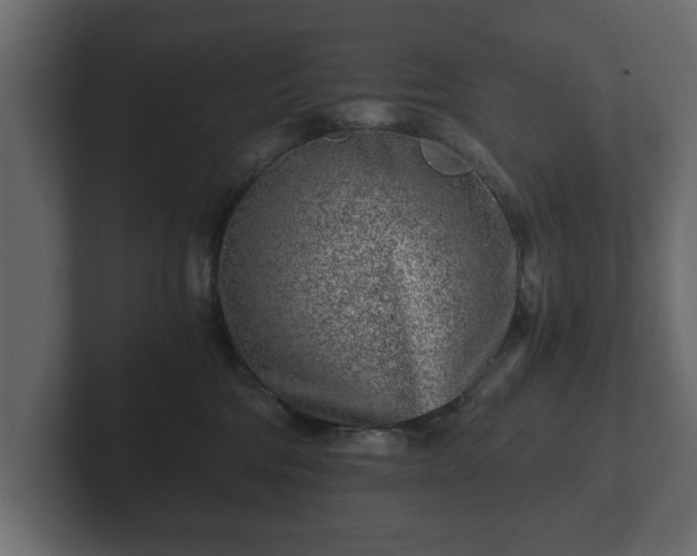 X0000103160330200808291455