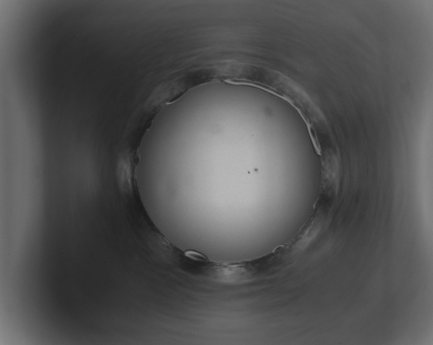 X0000103160333200808291455