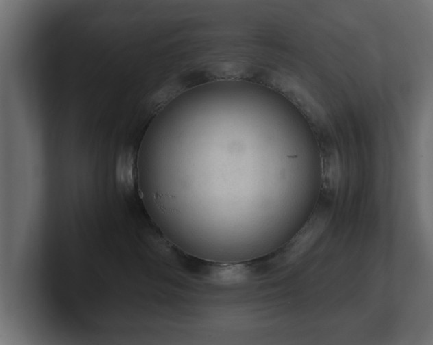 X0000103160334200808291455