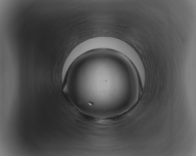 X0000103160336200808291455