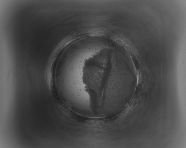 X0000103160339200808291454