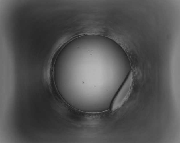 X0000103160340200808291454