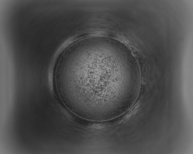 X0000103160341200808291454