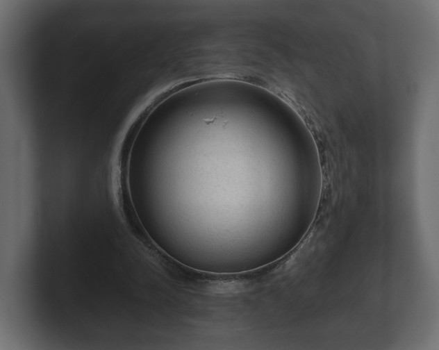 X0000103160342200808291454