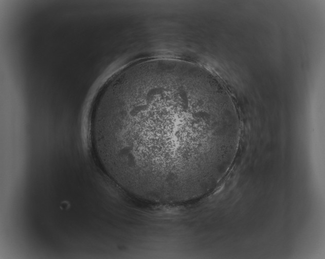 X0000103160343200808291454