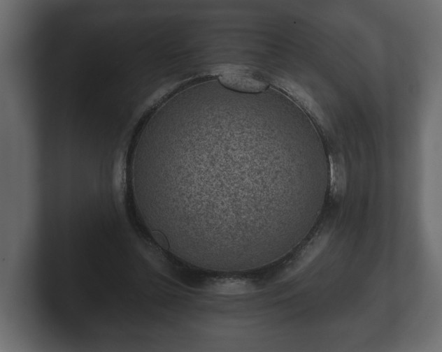 X0000103160348200808291455