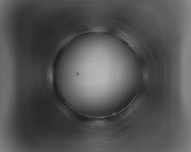 X0000103160350200808291455