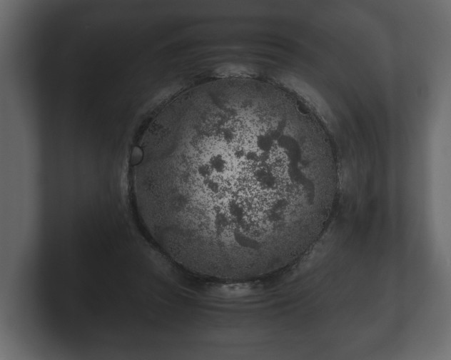 X0000103160353200808291455