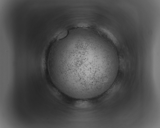 X0000103160354200808291455